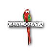 Guacamaya II